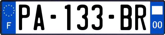 PA-133-BR