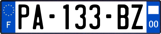PA-133-BZ