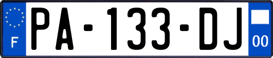 PA-133-DJ