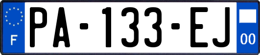 PA-133-EJ