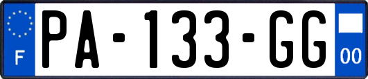 PA-133-GG