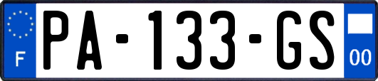 PA-133-GS