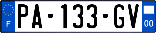 PA-133-GV