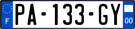 PA-133-GY
