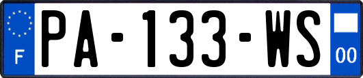 PA-133-WS