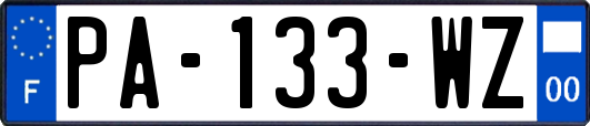 PA-133-WZ