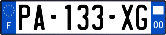 PA-133-XG