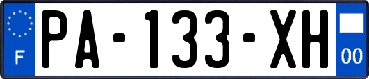PA-133-XH