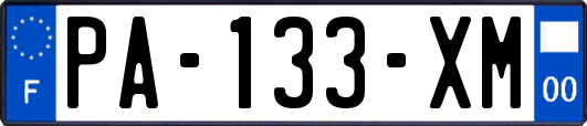 PA-133-XM