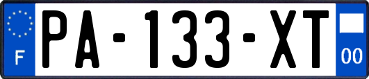PA-133-XT