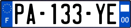 PA-133-YE