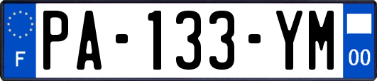 PA-133-YM