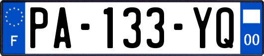 PA-133-YQ