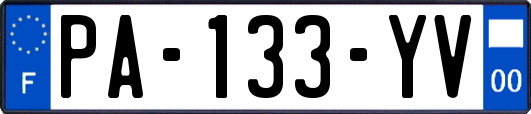 PA-133-YV