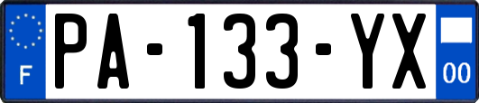 PA-133-YX