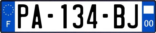 PA-134-BJ