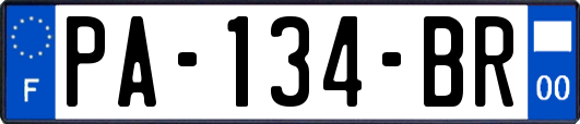 PA-134-BR