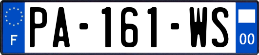 PA-161-WS