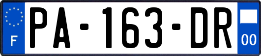 PA-163-DR
