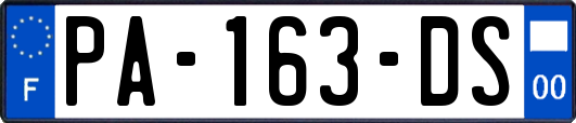 PA-163-DS