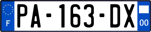 PA-163-DX