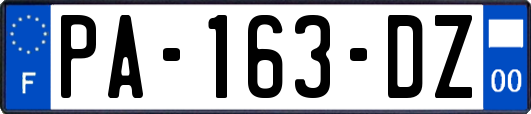 PA-163-DZ