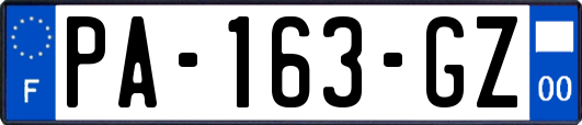 PA-163-GZ