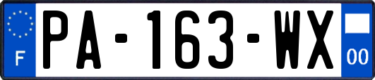PA-163-WX
