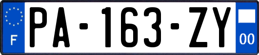 PA-163-ZY