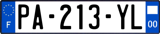 PA-213-YL