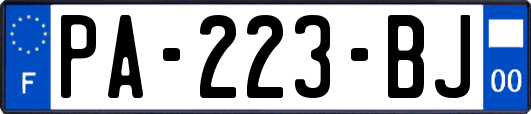 PA-223-BJ