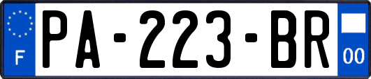 PA-223-BR