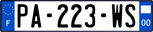 PA-223-WS