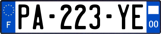 PA-223-YE