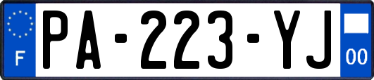 PA-223-YJ