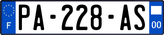 PA-228-AS