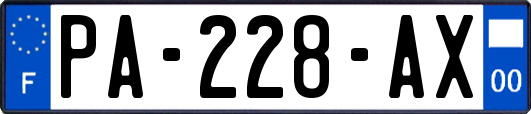 PA-228-AX