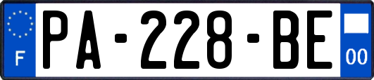 PA-228-BE