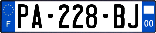 PA-228-BJ