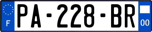 PA-228-BR