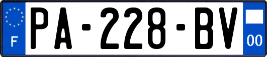 PA-228-BV