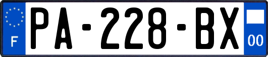 PA-228-BX