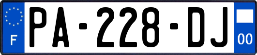 PA-228-DJ