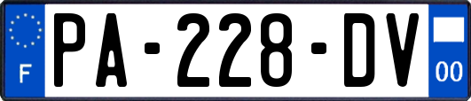PA-228-DV