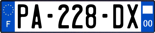 PA-228-DX