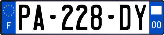 PA-228-DY