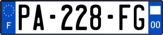 PA-228-FG