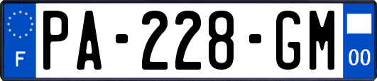 PA-228-GM
