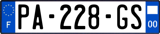PA-228-GS