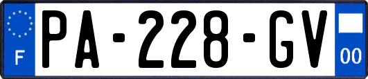 PA-228-GV